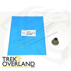 SEAL - VALVE SYSTEM - REINZ - 1311285G