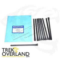 CABLE TIE EFI - BRITPART - 13H9727L