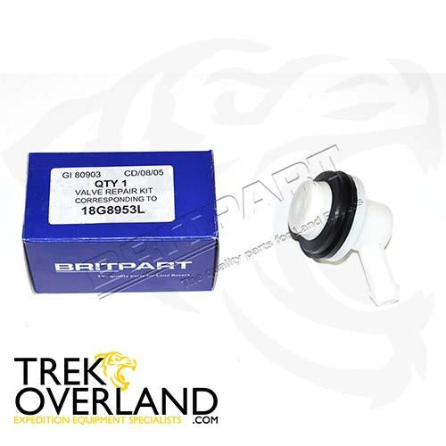 VALVE REPAIR KIT - BRITPART - 18G8953L