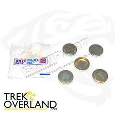 CORE PLUG - OEM - 250840