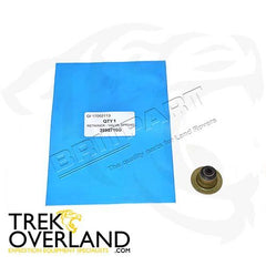 RETAINER - VALVE SPRING - REINZ - 3598716G