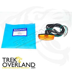 SIDE REPEATER LAMP 110 - BRITPART - 589143