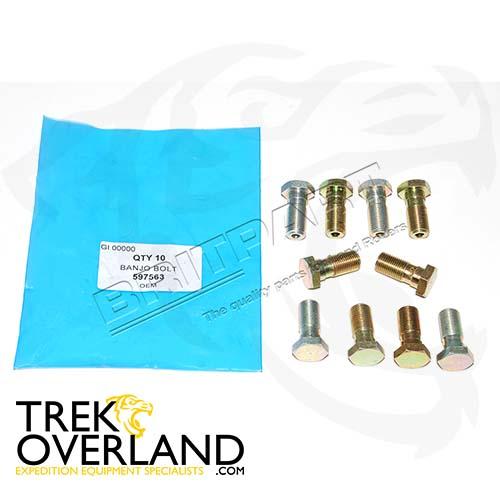 BANJO BOLT - OEM - 597563