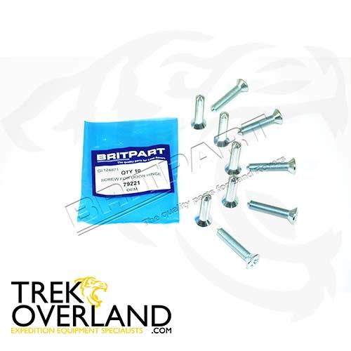 SCREW FOR DOOR HINGE - OEM - 79221