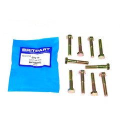 BOLT M8 X 45 - OEM - BH108091L