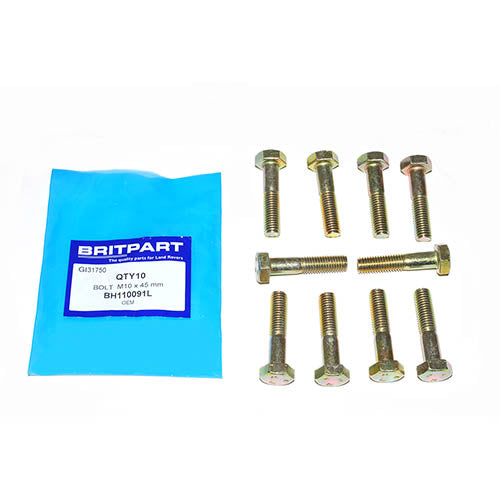 BOLT M10 x 45 mm - OEM - BH110091L