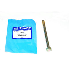 BOLT M10 X 120 - OEM - BH110241L