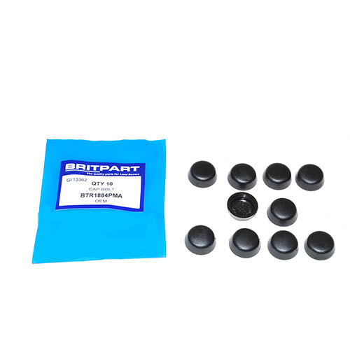 CAP BOLT - OEM - BTR1884PMA
