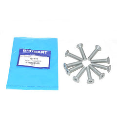 BOLT FLANGED - OEM - BYG100140L