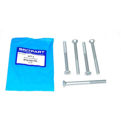 BOLT-FLANGED 95mm - OEM - BYG100170L