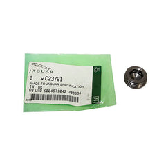 PLUGS - JAGUAR - C23761