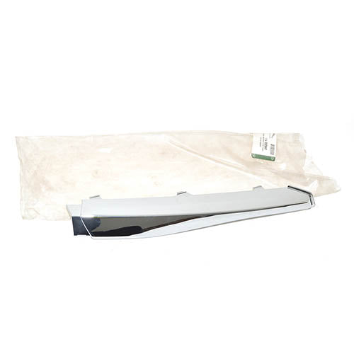 BUMPER INSER - JAGUAR - C2Z3847