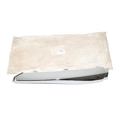 BUMPER INSER - JAGUAR - C2Z3848