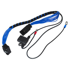 EAS O/RIDE MODULE - BRITPART - DA4136EAS