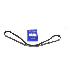 ALTERNATOR BELT - BRITPART - ERR2678