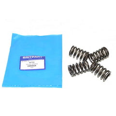 VALVE SPRING - OEM - ERR4628