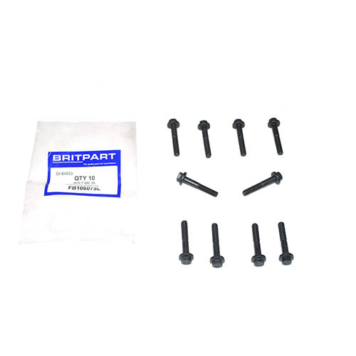 BOLT M6 X 35 - OEM - FB106075L