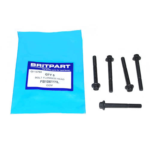 BOLT FLANGED HEAD - OEM - FB106111L
