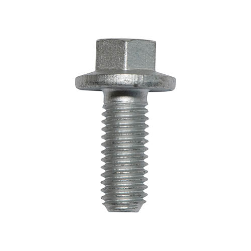 SCREW FLANGED HEAD x 100 - OEM - FS108207LX