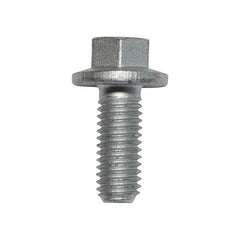 SCREW FLANGED HEAD x 100 - OEM - FS108207LX