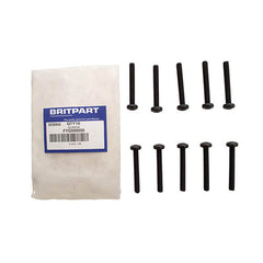 SCREW - BRITPART - FYG500050