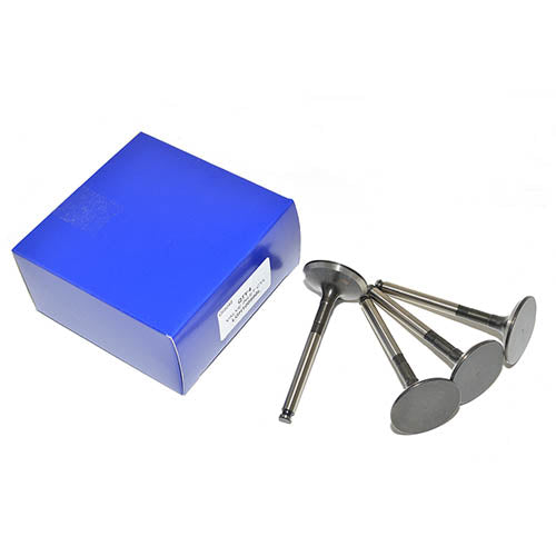 VALVE INLET CYL - BRITPART - LGH100990L