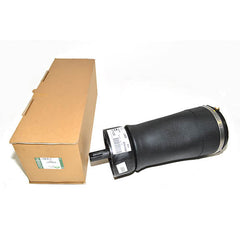 SPRING-AIR SUSPENSION - LR - LR034262LR