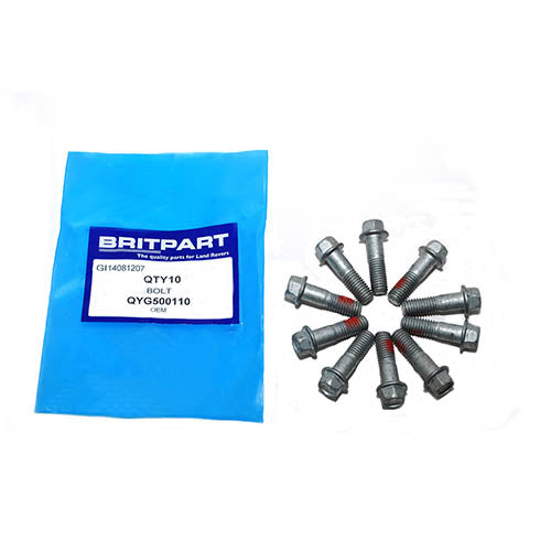 BOLT - OEM - QYG500110
