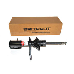 DAMPER ASSY-FRONT - DELPHI - RSC000020G