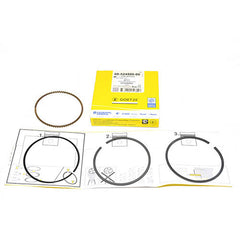 PISTON RING KIT - AE - RTC6066SG