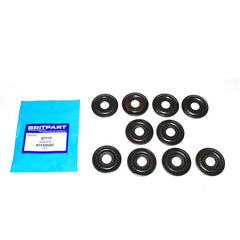 WASHER - OEM - RYF500240