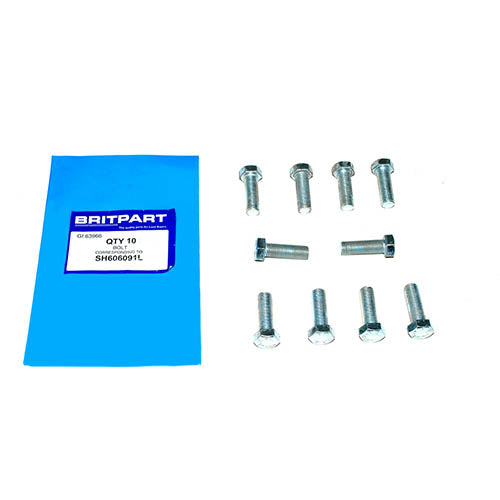 SCREW - BRITPART - SH606091L