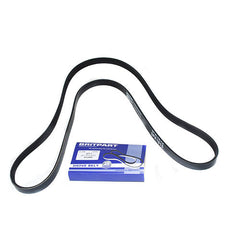 BELT-POLYVEE - BRITPART - STC4455