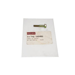 BOLT-FLANGED HEAD - OEM - TYG100460