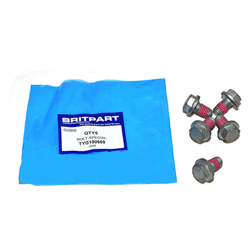 BOLT-SPECIAL - OEM - TYG100660