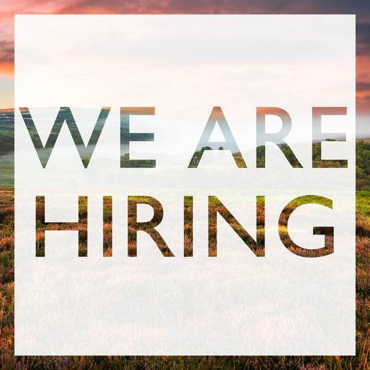 Job Vacancy