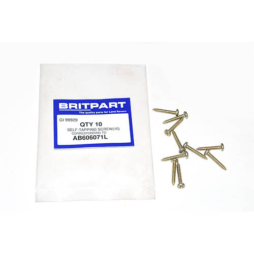 SCREW SELF TAPPER - OEM - AB606071L