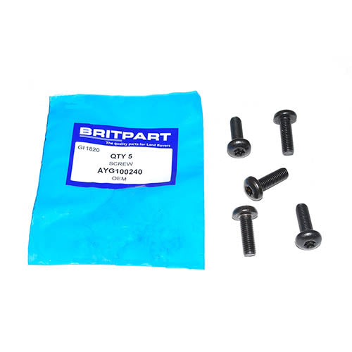 SCREW - OEM - AYG100240