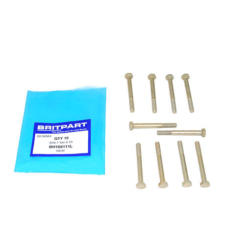 BOLT M6 X 55 - OEM - BH106111L