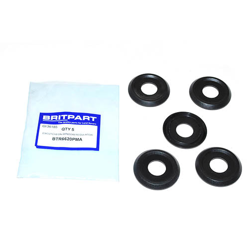 ESCUTCHEON-WINDOW REGULATOR - BRITPART - BTR6620PMA