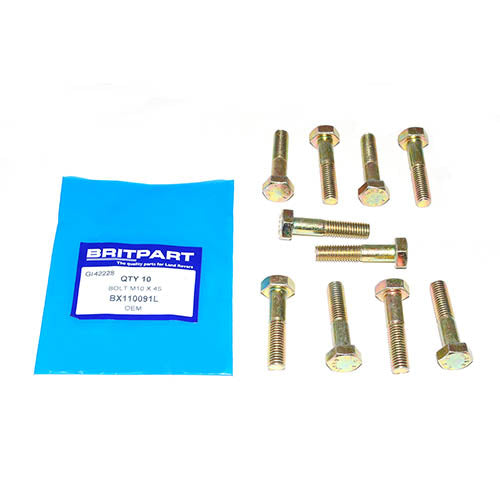 BOLT M10 X 45 - OEM - BX110091L