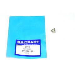 NUT-DOME - OEM - BYH100130