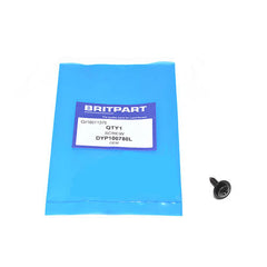 SCREW - OEM - DYP100780L