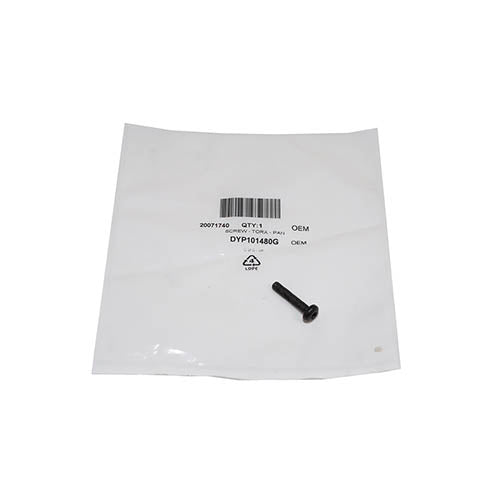 SCREW - TORX - PAN - OEM - DYP101480G