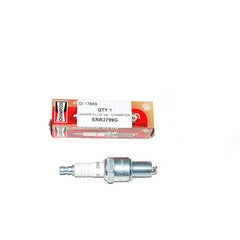 SPARK PLUG V8 - CHAMPION - CHAMPION - ERR3799G