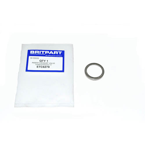 INSERT  EXHAUST VALVE - SANTANA - ETC6278