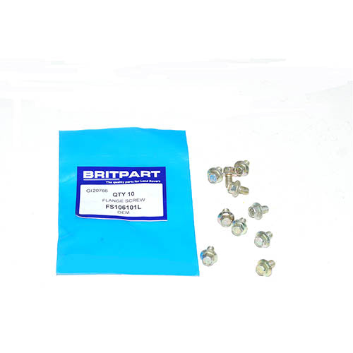 FLANGE SCREW - OEM - FS106101L