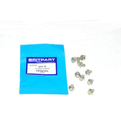 FLANGE SCREW - OEM - FS106101L