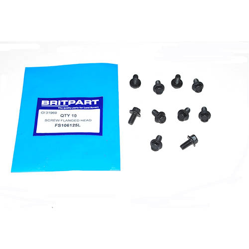 SCREW FLANGED HEAD - OEM - FS106125L