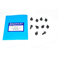 SCREW FLANGED HEAD - OEM - FS106125L